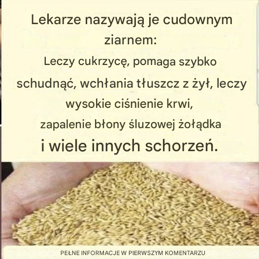 Liso sang Canary: Isa ka Gamay nga Higante sa Sustansya para sa Panglawas sang Tawo