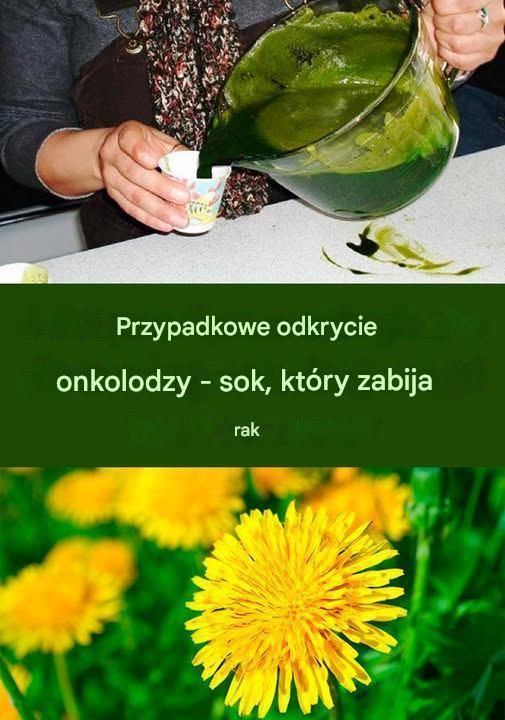 Korzeń mniszka lekarskiego: skuteczniejszy niż chemioterapia