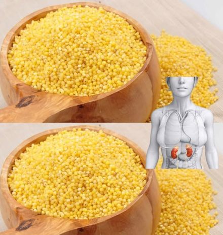 Dlaczego lekarze ukrywają fakt, że problemy z nerkami można wyleczyć bez chemii – prosem!