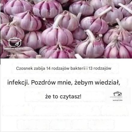 Czosnek: naturalny antybiotyk zwalczający bakterie i infekcje.