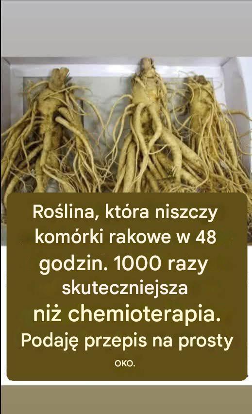 Ten korzeń zabija 98% nowotworów żołądka, jelita grubego, trzustki i innych.