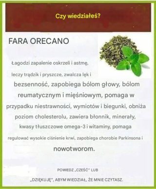 Czy słyszałeś o olejku z oregano? Tutaj wyjaśnię jego zalety i sposób jego przygotowania.