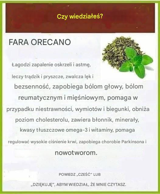 Czy słyszałeś o olejku z oregano? Tutaj wyjaśnię jego zalety i sposób jego przygotowania.