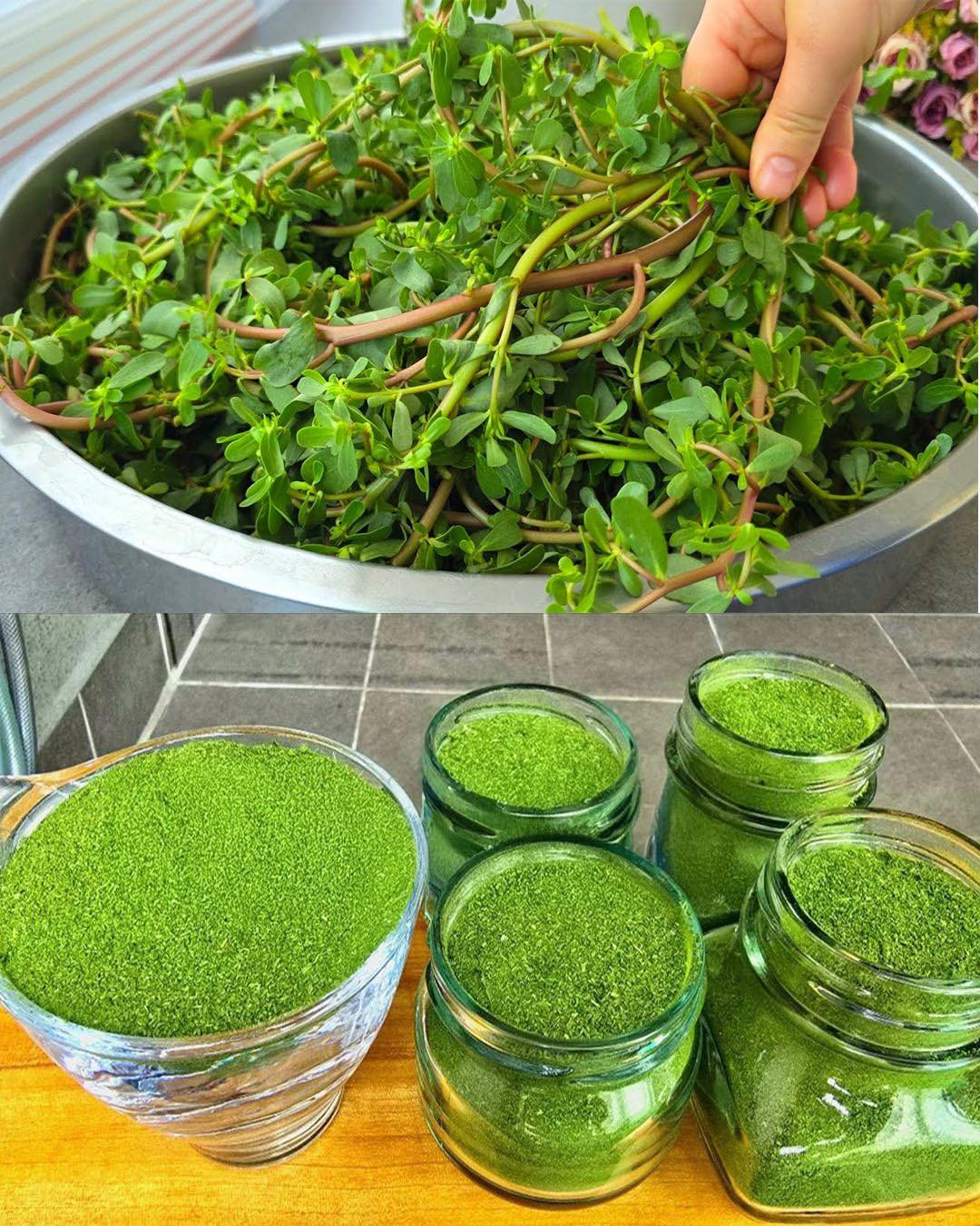 Dlaczego warto zasadzić trawę chińską w swoim ogrodzie: 8 przekonujących powodów