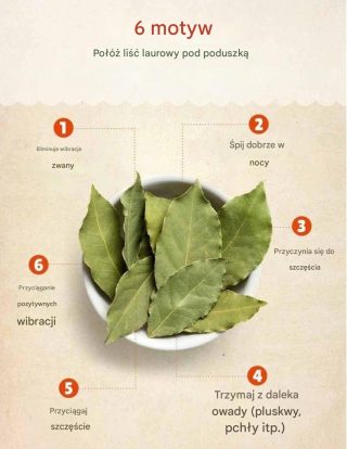 Dlaczego ważne jest, aby umieścić liść laurowy pod poduszką?