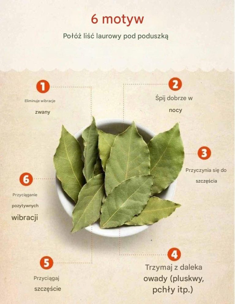 Dlaczego ważne jest, aby umieścić liść laurowy pod poduszką?