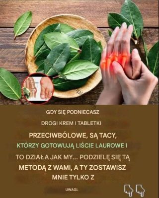 Liście laurowe na ból stawów i problemy z krążeniem: Starożytny środek wskrzeszony