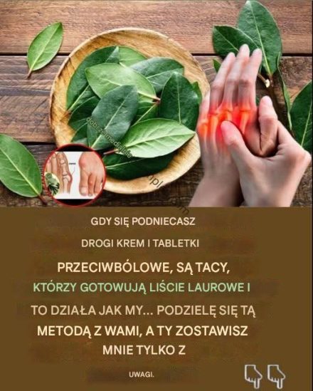 Liście laurowe na ból stawów i problemy z krążeniem: Starożytny środek wskrzeszony