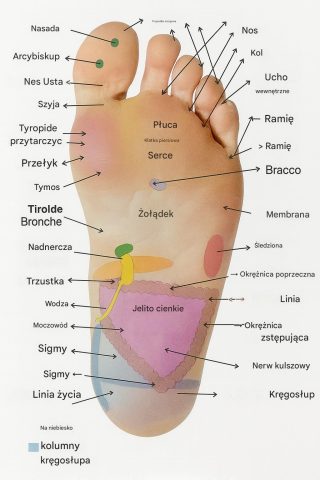 Refleksologia stóp: Mapa stóp, która stymuluje ciało i pobudza umysł