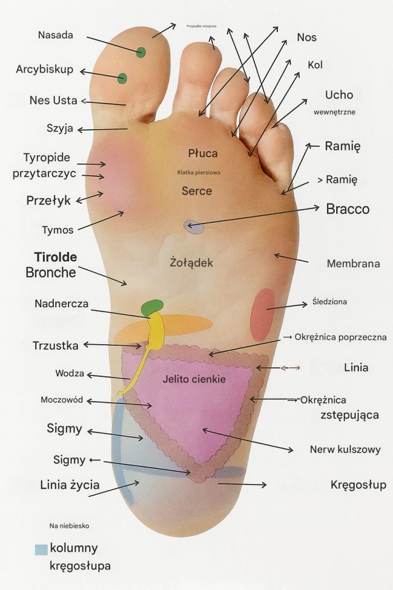 Refleksologia stóp: Mapa stóp, która stymuluje ciało i pobudza umysł
