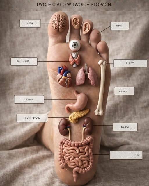 Czy ten prosty nawyk smarowania stóp olejkiem przed snem może pomóc Ci się zrelaksować i lepiej spać?