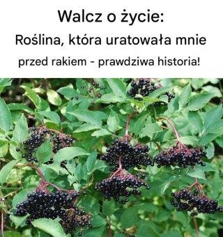 Mężczyzna z Bułgarii opowiada swoją historię o tym, jak walczył z rakiem. Jego historia daje nadzieję wielu ludziom, a aby dowiedzieć się, dlaczego jest tak popularna, czytaj dalej!