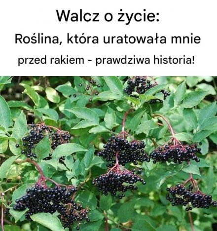 Mężczyzna z Bułgarii opowiada swoją historię o tym, jak walczył z rakiem. Jego historia daje nadzieję wielu ludziom, a aby dowiedzieć się, dlaczego jest tak popularna, czytaj dalej!