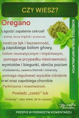 Herbata z oregano na pusty żołądek: oczyść organizm i wzmocnij zdrowie