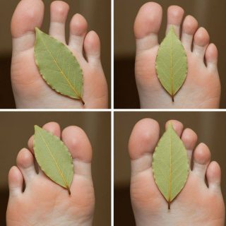 Połóż liść laurowy na stopach, a nie będziesz musiał wydawać pieniędzy.