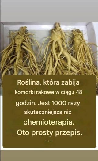 Ten korzeń zabija 98% nowotworów żołądka, jelita grubego, trzustki i innych.