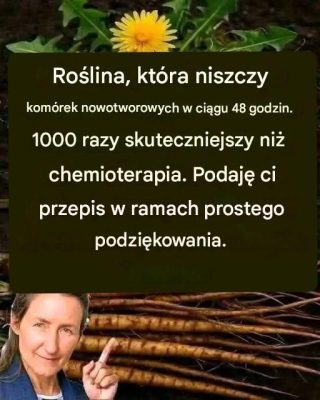 Ten korzeń zabija 98% przypadków raka żołądka, jelita grubego, trzustki i innych