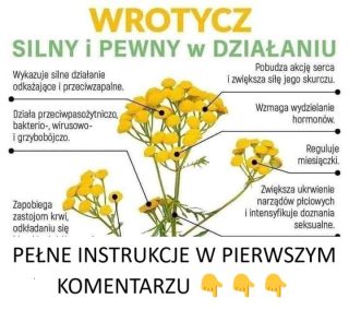Wrotycz – dlaczego został zakazany