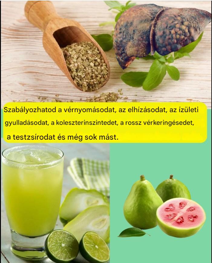 Naturalny środek z chayote, guawą i oregano na stłuszczenie wątroby i otyłość: podejście uzupełniające