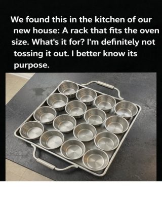 Recipe: The Curious Oven-Sized Kitchen Rack – Mystery Meets Culinary Ingenuity