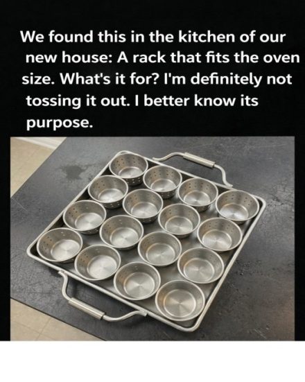 Recipe: The Curious Oven-Sized Kitchen Rack – Mystery Meets Culinary Ingenuity